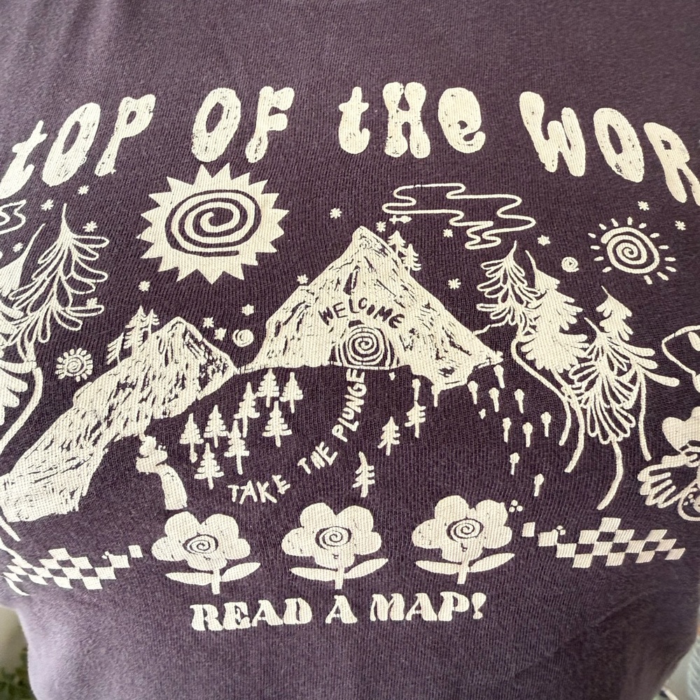Divided cropped tee on top of the world size small - Picture 2 of 7